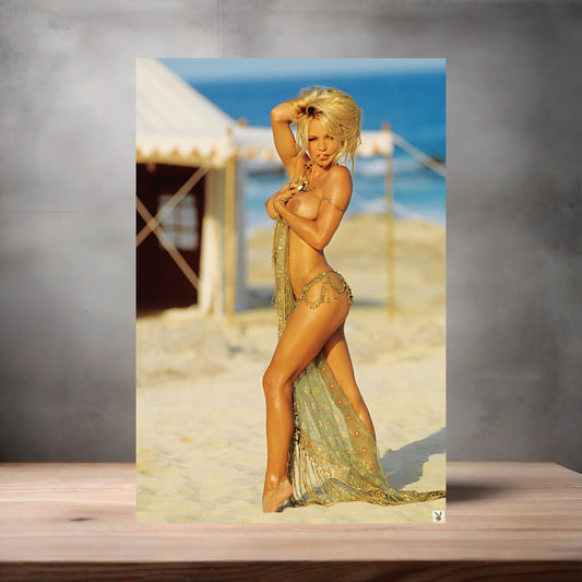 Pamela Anderson NSFW metal poster. Multiple sizes available. Beautiful and sexy J1