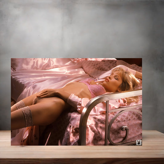 Pamela Anderson NSFW metal poster. Multiple sizes available. Beautiful and sexy K6