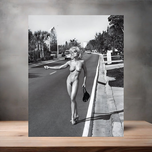 Sexy Madonna metal poster. Multiple sizes available. Hot NSFW V4