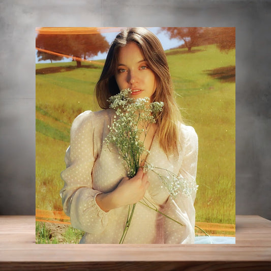 Sexy Sydney Sweeney metal poster. Multiple sizes available. Hot B3
