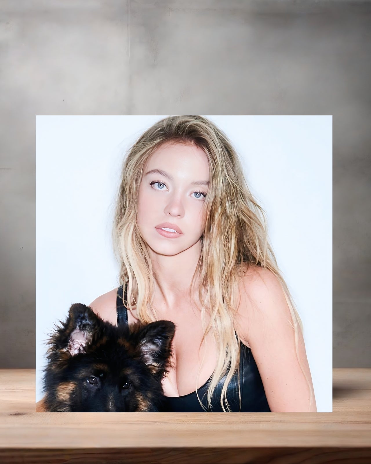 Sexy Sydney Sweeney metal poster. Multiple sizes available. Hot F1