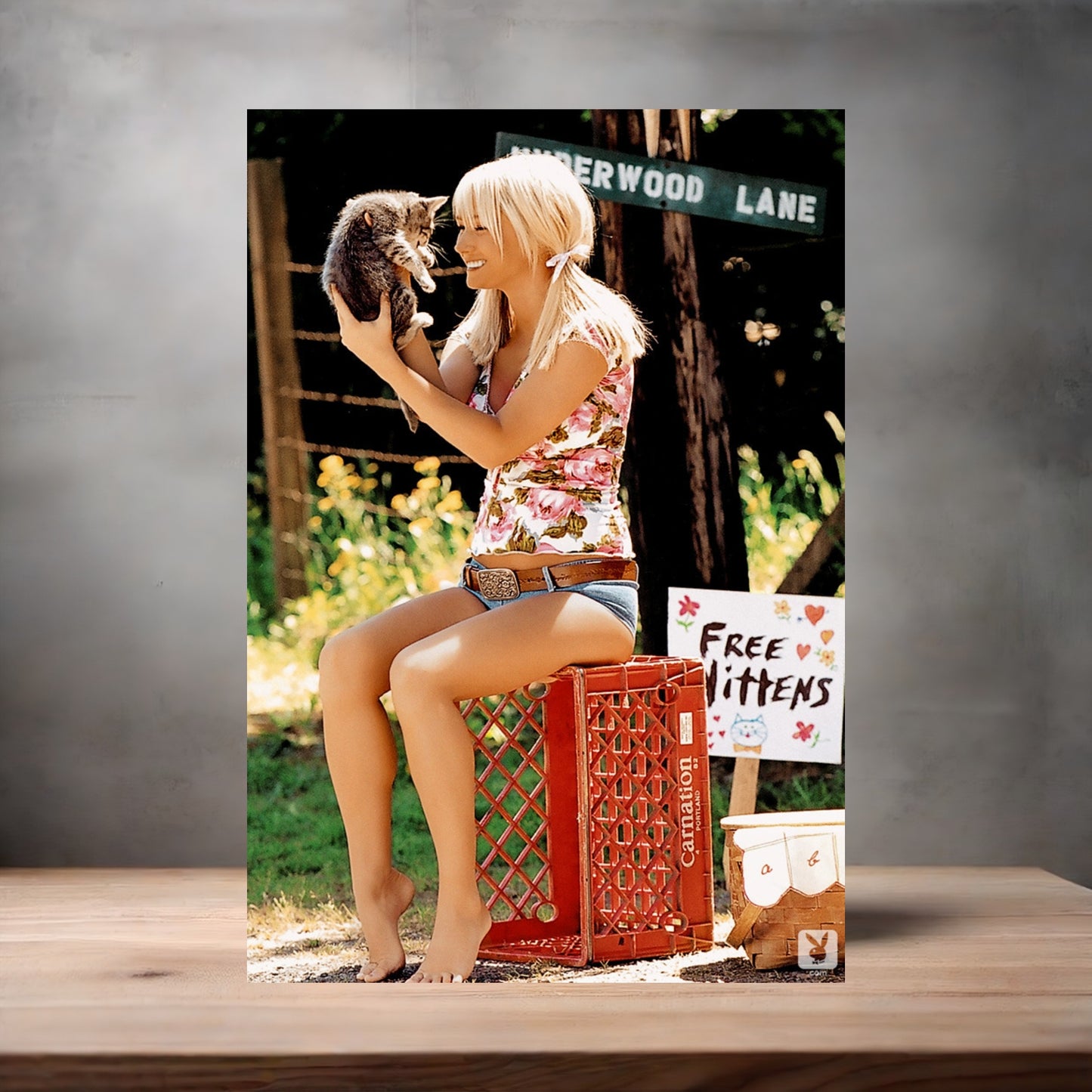 Sara Jean Underwood NSFW poster with multiple size and finish options. Playboy C9