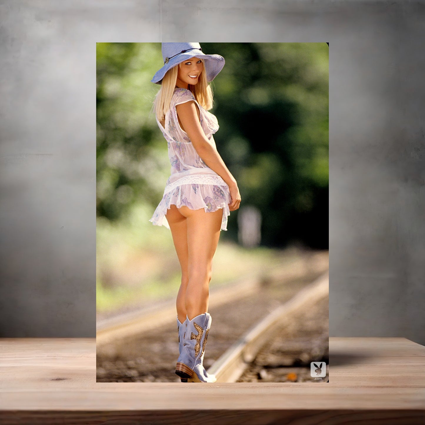 Sara Jean Underwood NSFW poster with multiple size and finish options. Playboy C4