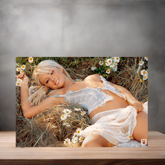 Sara Jean Underwood NSFW poster with multiple size and finish options. Playboy B8