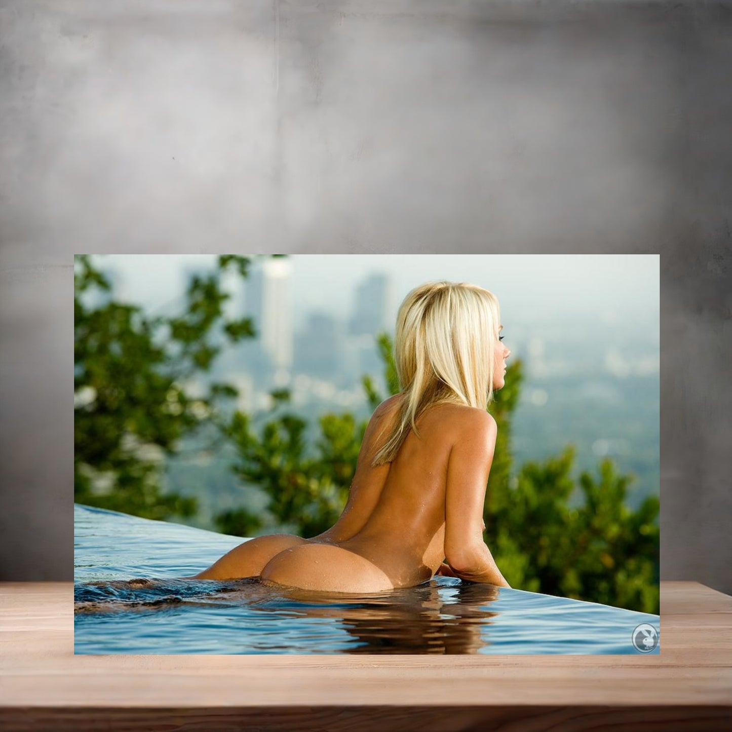 Sara Jean Underwood NSFW poster with multiple size and finish options. Playboy B1