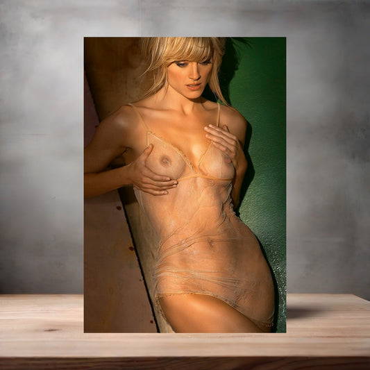 Teri Polo NSFW poster with multiple size and finish options. Playboy c1