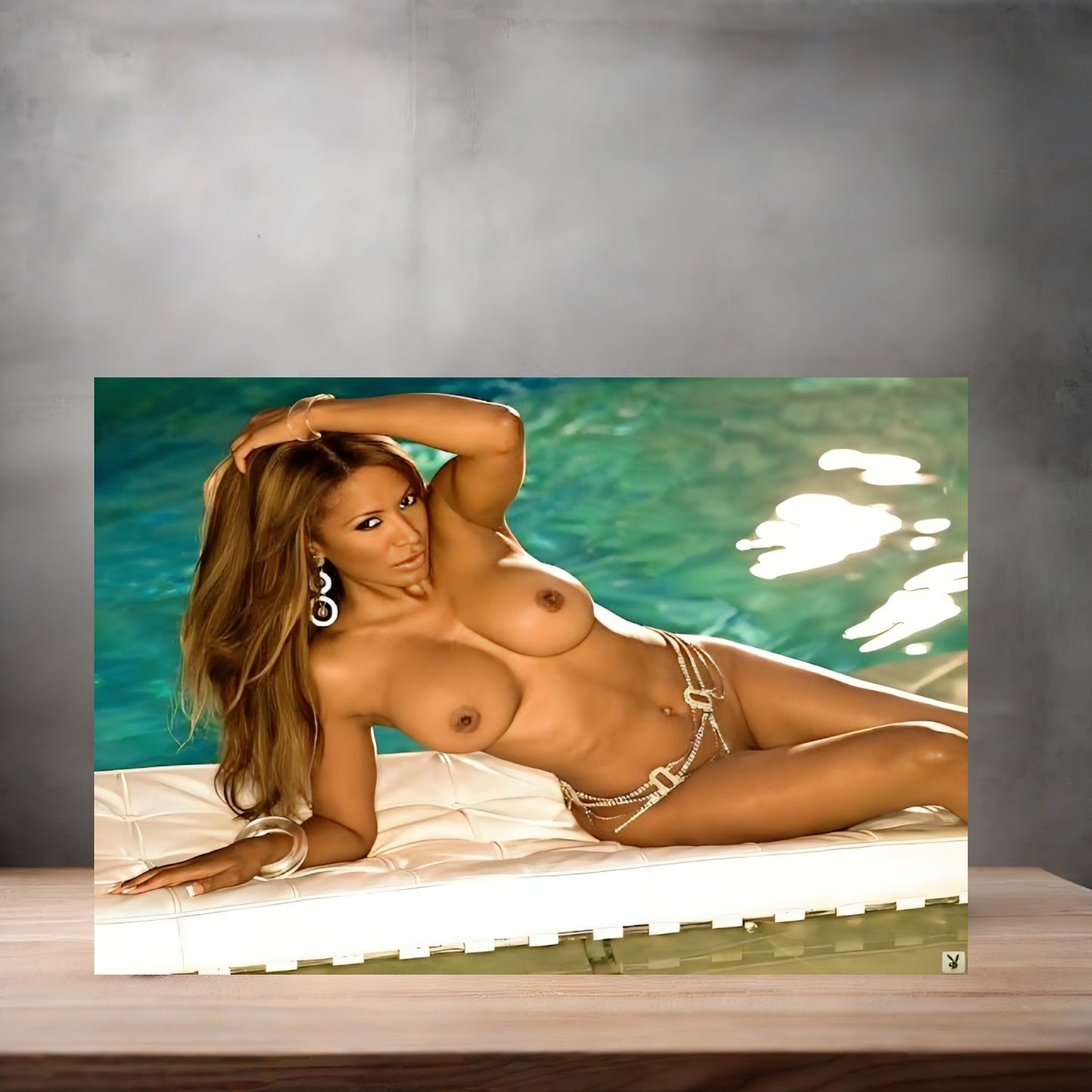 Traci Bingham NSFW poster with multiple size and finish options. Playboy