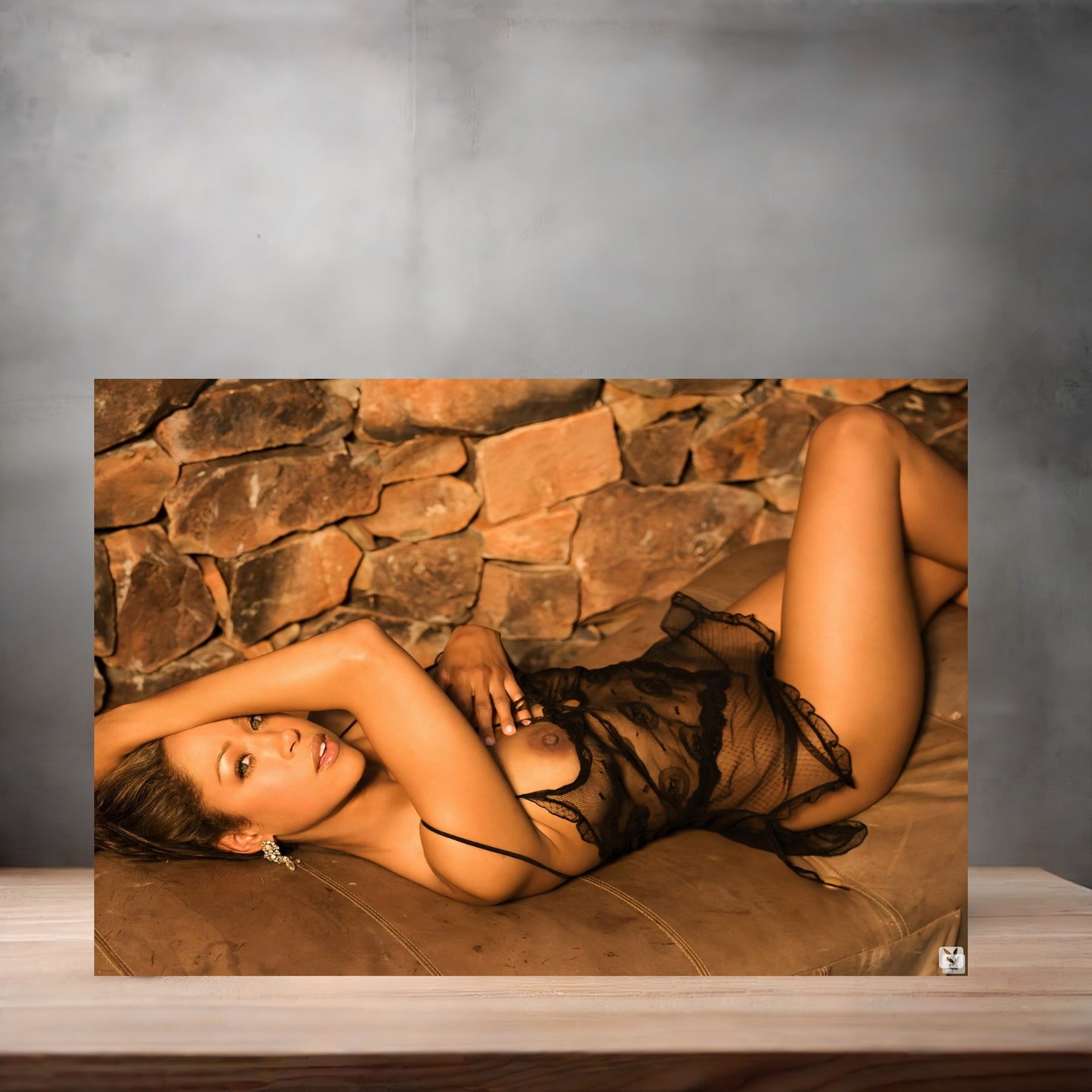 Stacey Dash NSFW poster with multiple size and finish options. Playboy A6