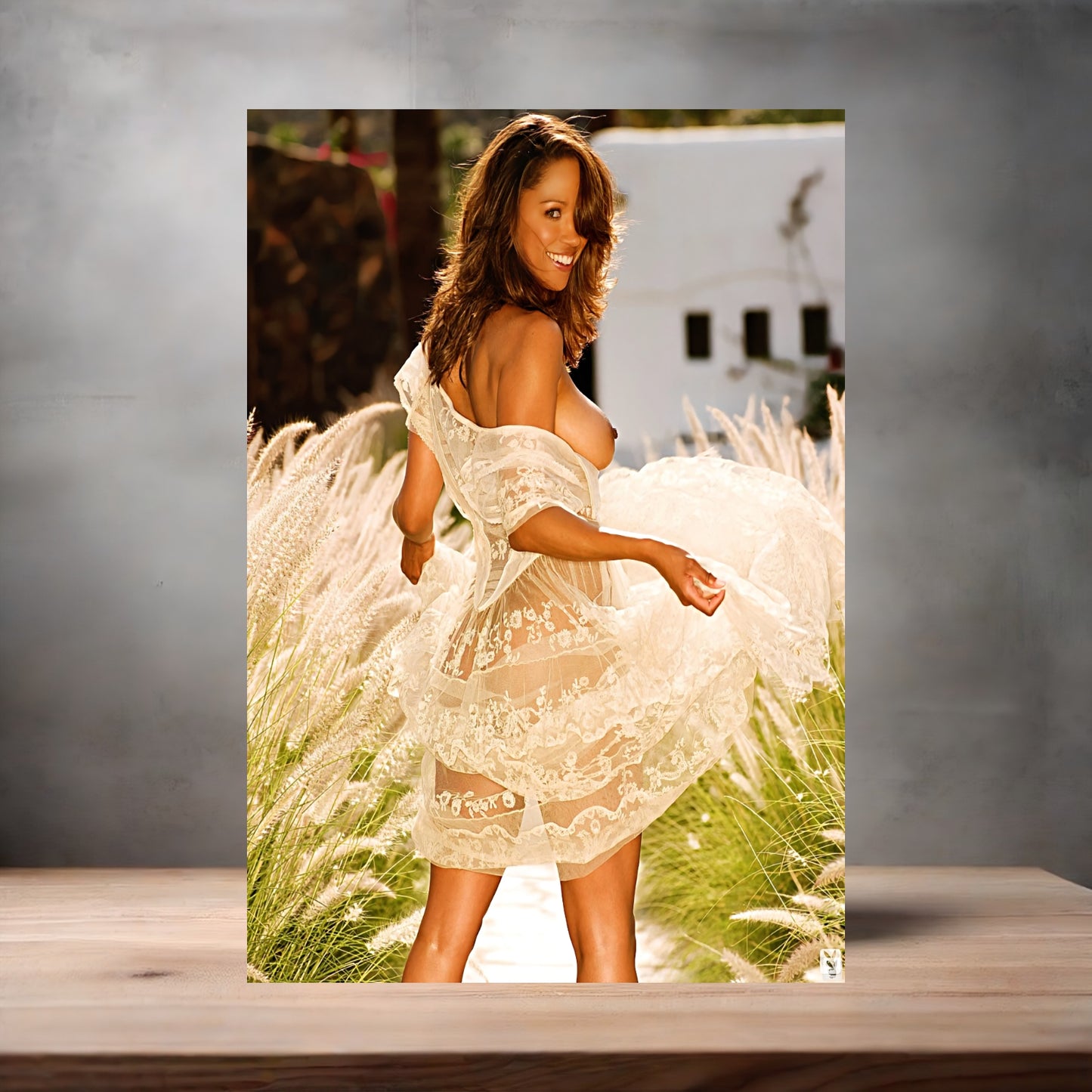 Stacey Dash NSFW poster with multiple size and finish options. Playboy A2