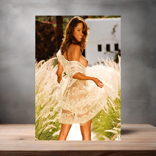 Stacey Dash NSFW poster with multiple size and finish options. Playboy A2