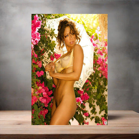 Stacey Dash NSFW poster with multiple size and finish options. Playboy C3