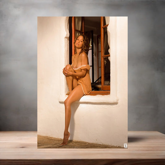 Stacey Dash NSFW poster with multiple size and finish options. Playboy B3