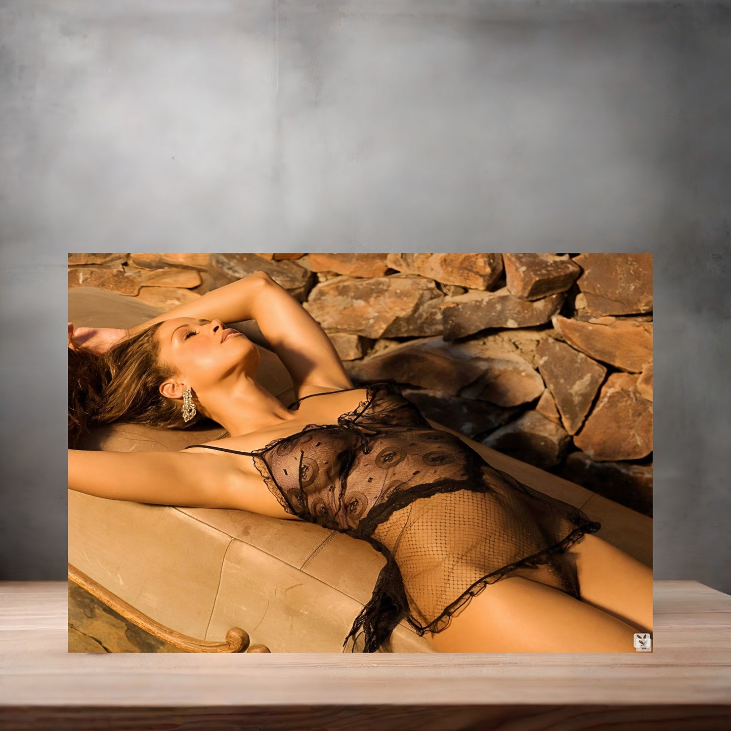 Stacey Dash NSFW poster with multiple size and finish options. Playboy B2