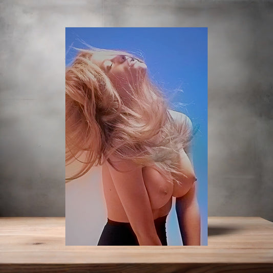 Brooklyn Decker Sports Illustrated swimsuit poster with multiple size and finish options. D9