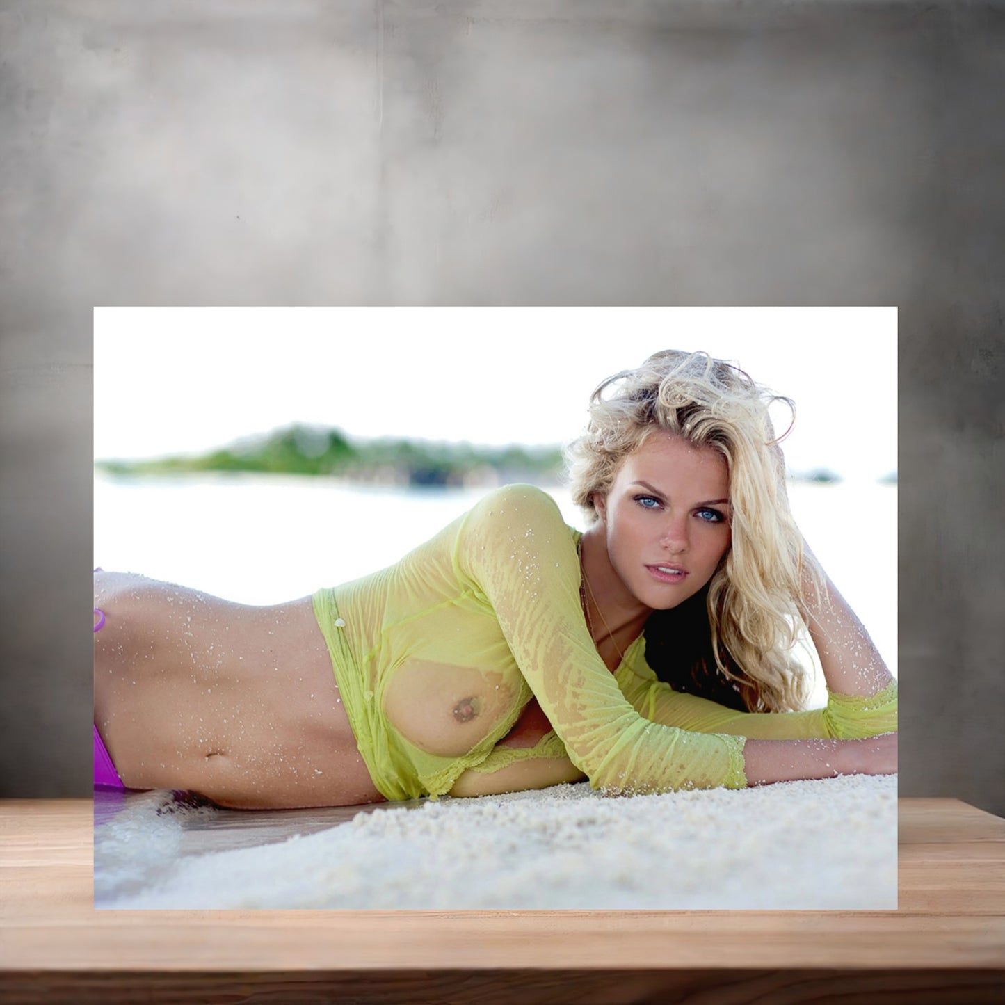 Brooklyn Decker Sexy poster with multiple size and finish options. E5
