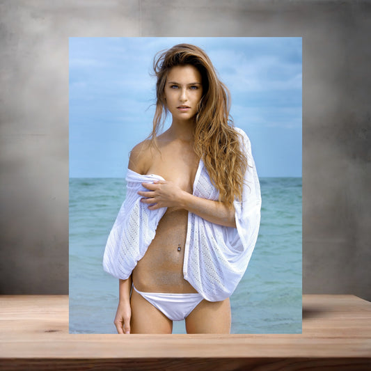 Bar Rafaeli sexy bikini poster with multiple size and finish options. B6