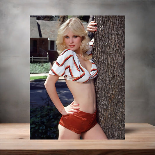 Dorothy Stratten NSFW poster with multiple size and finish options. Playboy Playmate C3