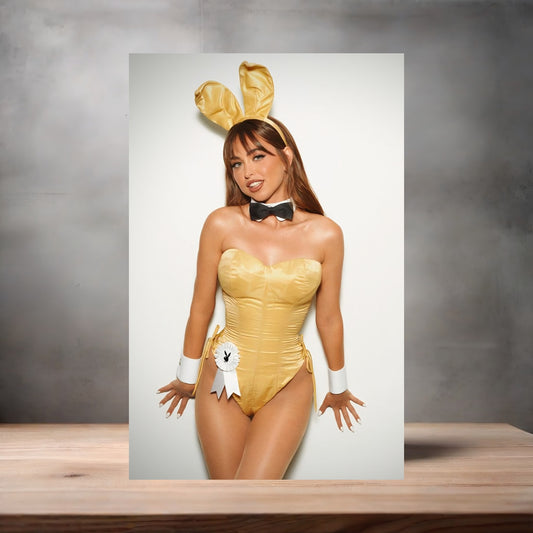 Riley Reid NSFW poster with multiple size and finish options. Playboy adult film star B4