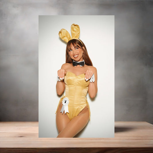 Riley Reid NSFW poster with multiple size and finish options. Playboy adult film star B1