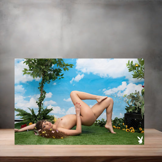 Riley Reid NSFW poster with multiple size and finish options. Playboy adult film star A2