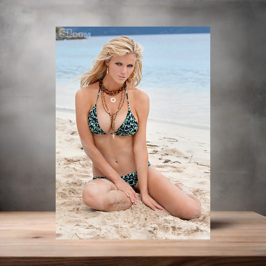 Brooklyn Decker Sports Illustrated swimsuit poster with multiple size and finish options. D4
