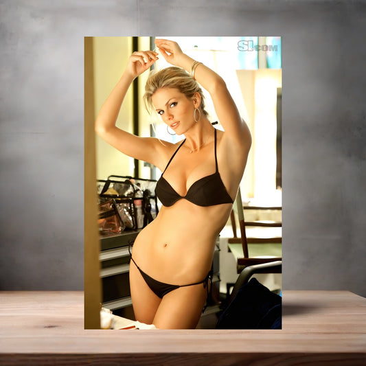 Brooklyn Decker Sports Illustrated swimsuit poster with multiple size and finish options. C8