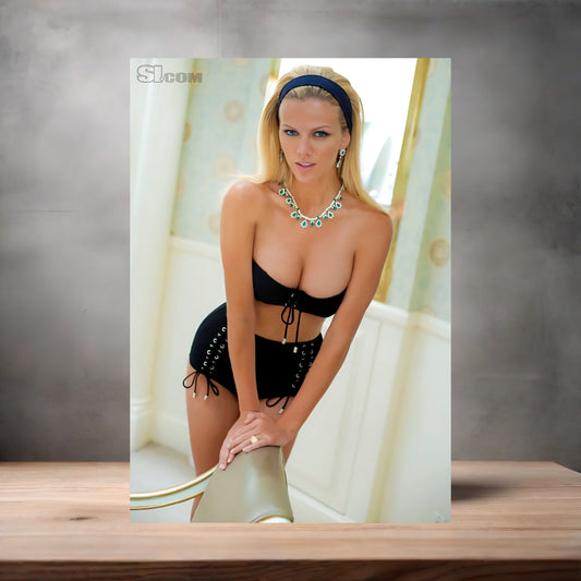 Brooklyn Decker Sports Illustrated swimsuit poster with multiple size and finish options. D1