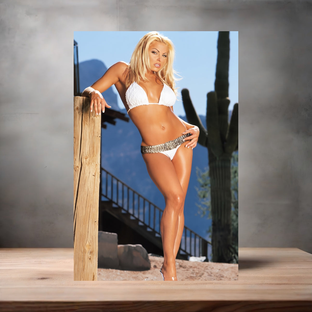 Trish Stratus Sexy Posters in glossy or matte. 24 options to choose from. WWE Diva