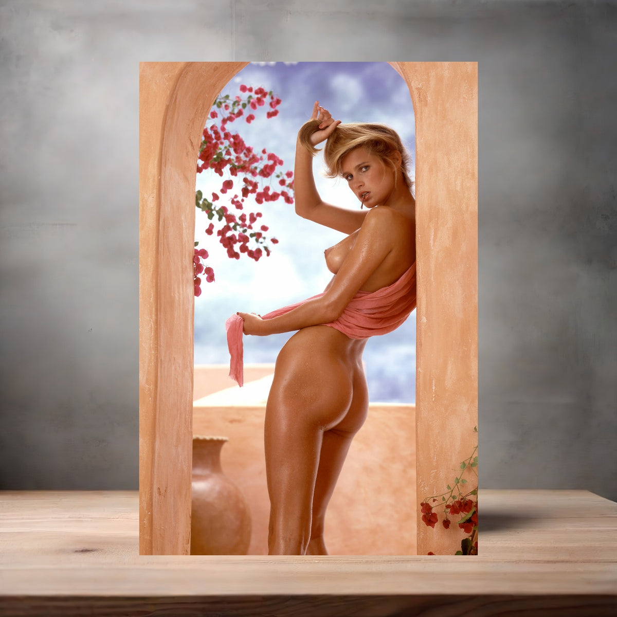 1980 Playboy Playmates Posters in glossy or matte. 12 options to choose from. NSFW