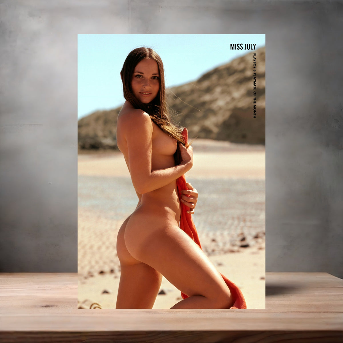 1970 Playboy Playmates Posters in glossy or matte. 12 options to choose from. NSFW