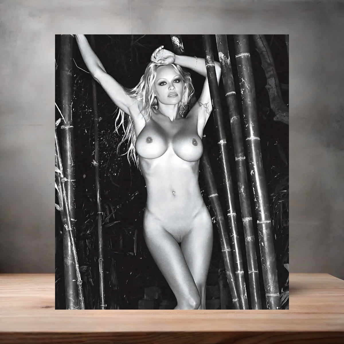 Pamela Anderson poster prints in multiple sizes and material. Playboy, NSFW v4