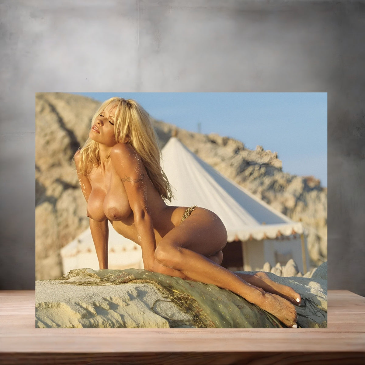 Pamela Anderson poster prints in multiple sizes and material. Playboy, NSFW v4