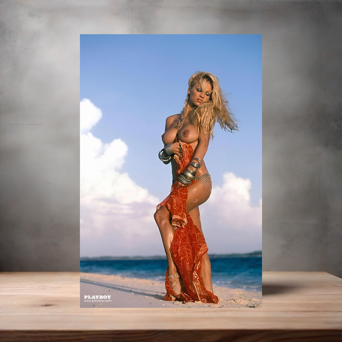 Pamela Anderson poster prints in multiple sizes and material. Playboy, NSFW