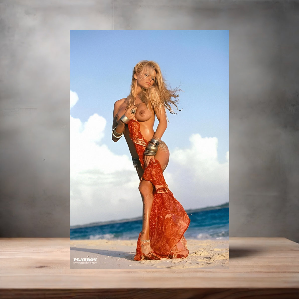 Pamela Anderson poster prints in multiple sizes and material. Playboy, NSFW