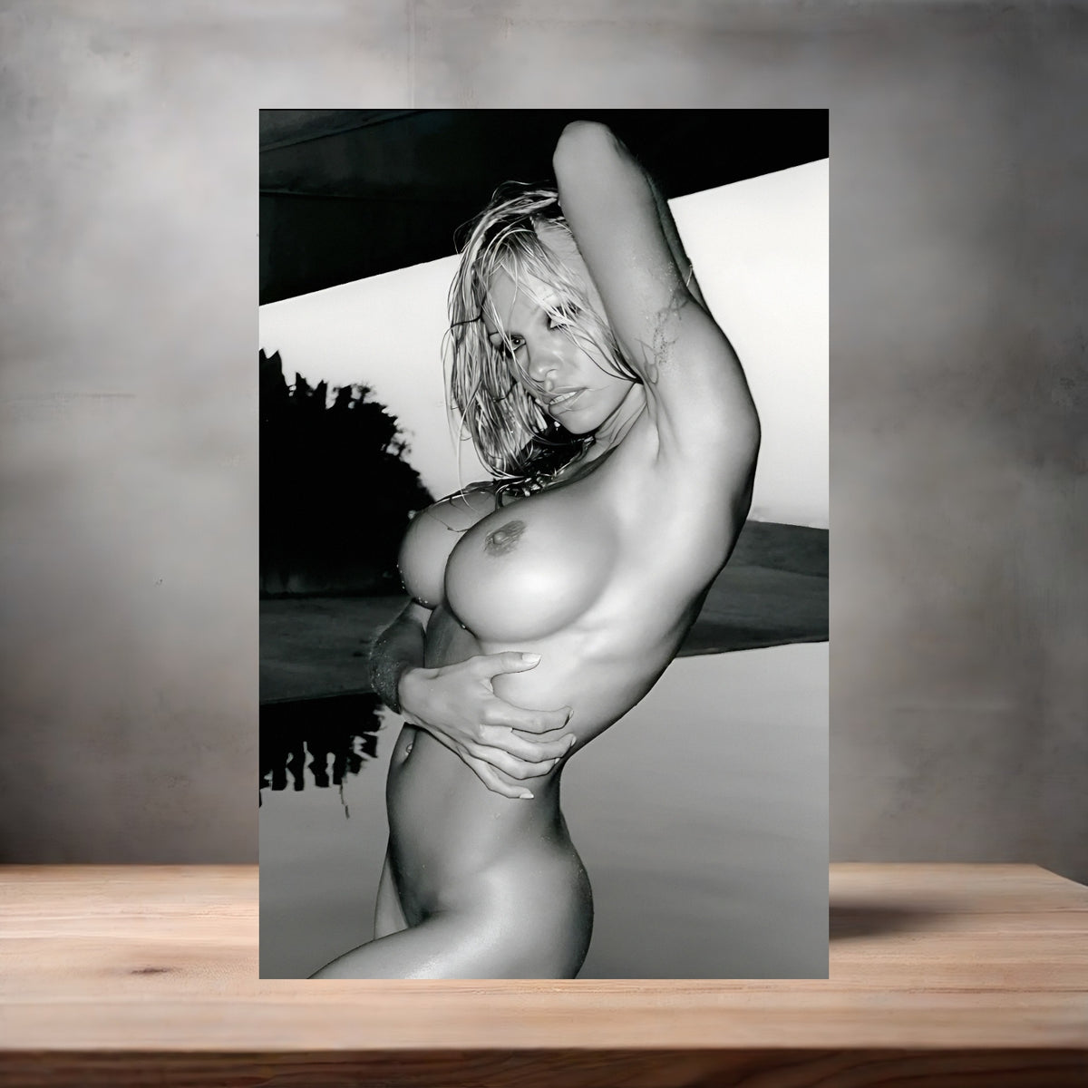 Pamela Anderson poster prints in multiple sizes and material. Playboy, NSFW