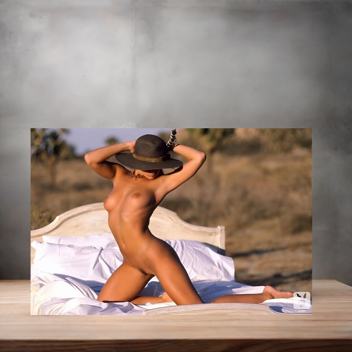 Jaime Pressly poster prints in multiple sizes and material. Playboy NSFW