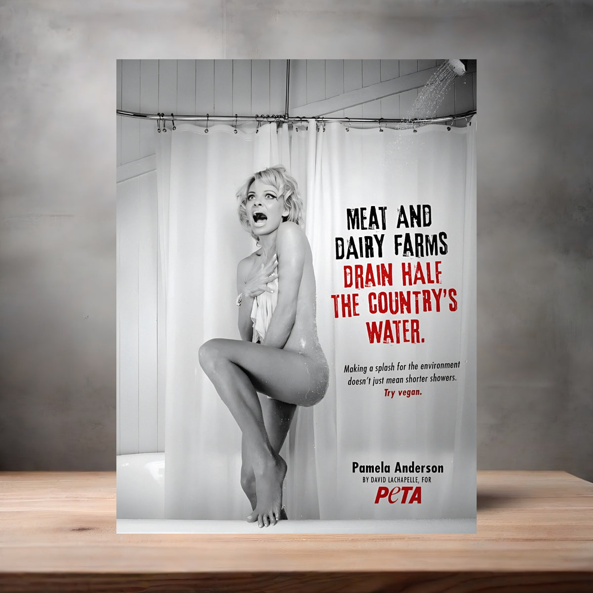 David LaChapelle 8.5" x 11" art print set of 2, glossy and matte. Multiple options Pamela Anderson