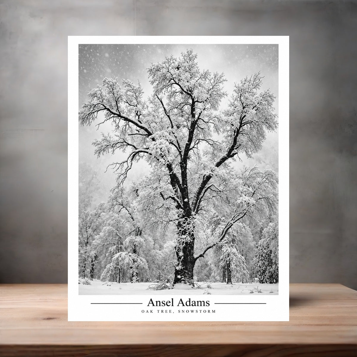 Ansel Adams 8.5" x 11" art print set of 2, glossy and matte. Oak Tree, Snowstorm