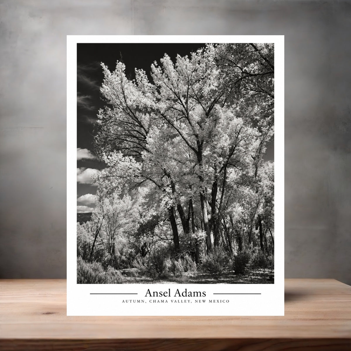 Ansel Adams 8.5" x 11" art print set of 2, glossy and matte. Autumn, Chama Valley, New Mexico