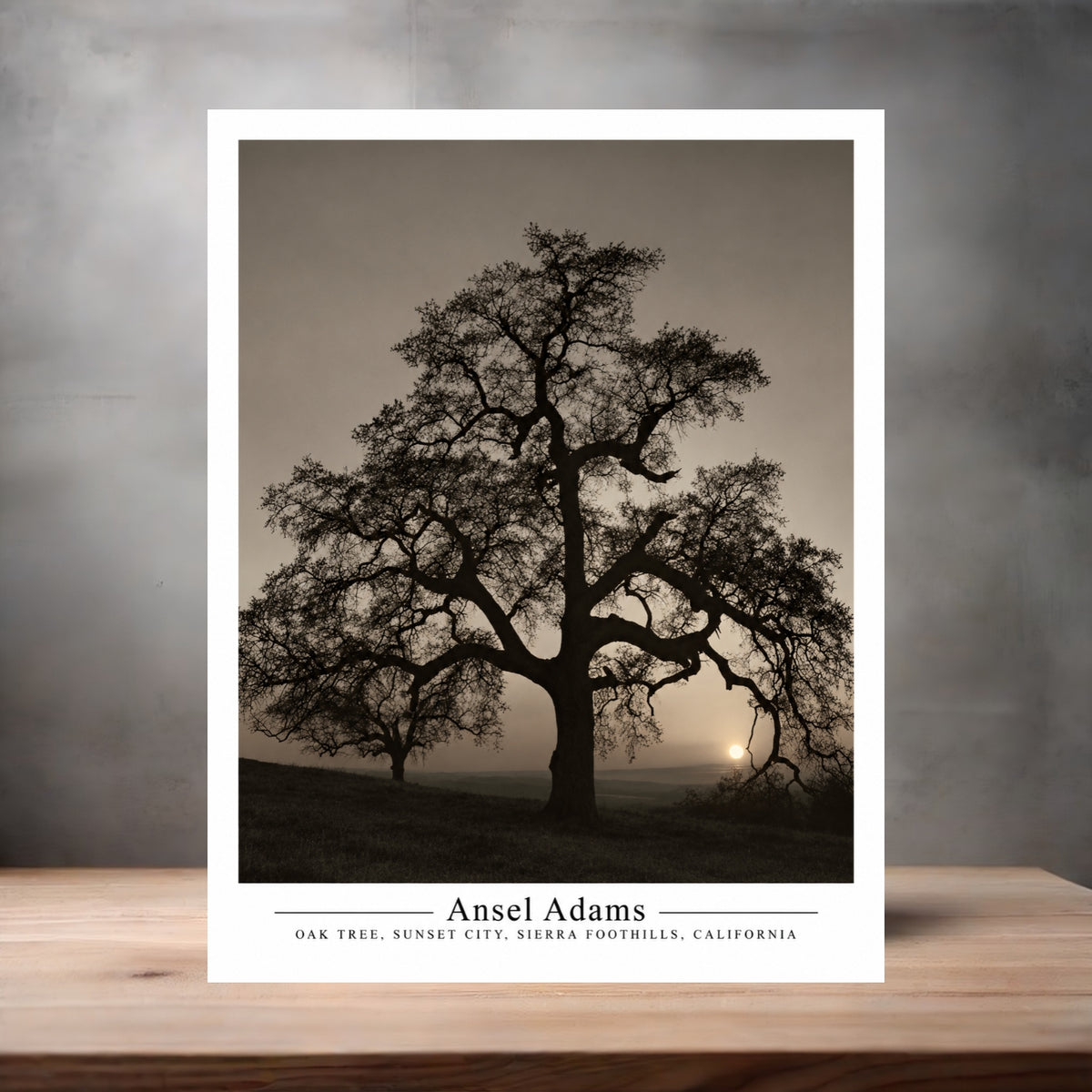 Ansel Adams 8.5" x 11" art print set of 2, glossy and matte. Oak Tree, Sierra Foothills