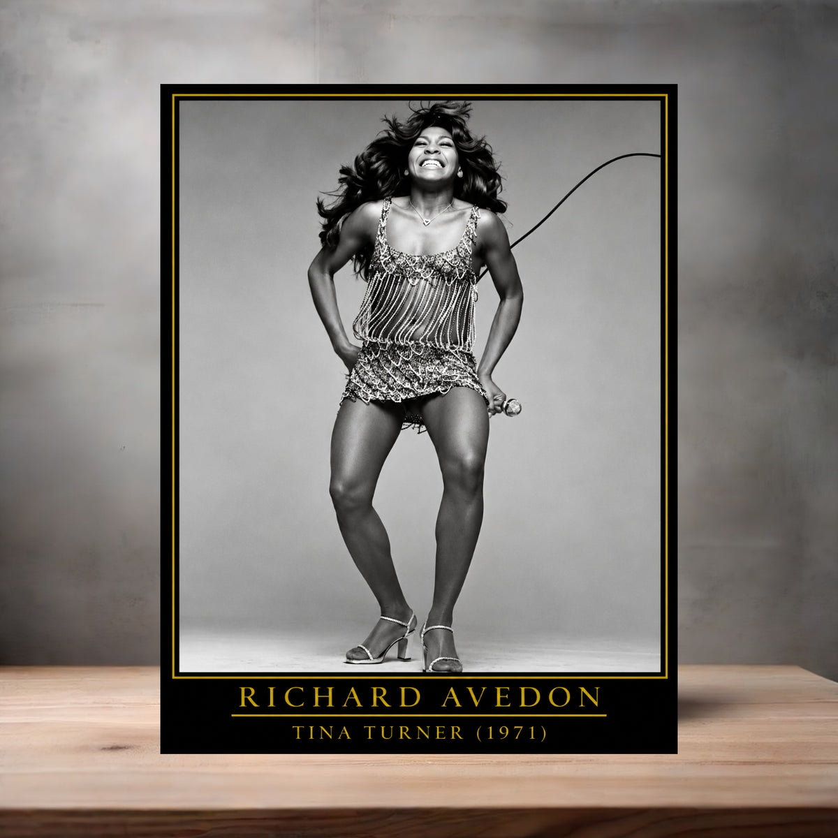 Richard Avedon 8.5" x 11" art print set of 2, glossy and matte. Tina Turner