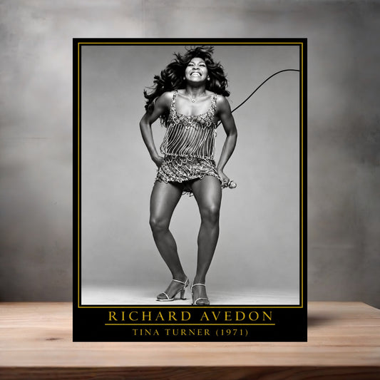 Richard Avedon 8.5" x 11" art print set of 2, glossy and matte. Tina Turner