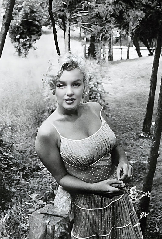 Marilyn Monroe mature poster with multiple size and finish options. B2