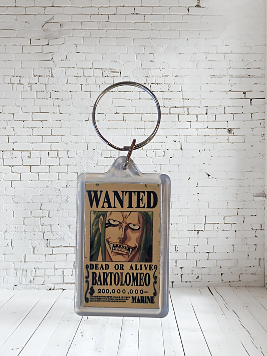 One Piece Anime series keychain with metal prints. Plenty to choose from, Monkey D Luffy and many more