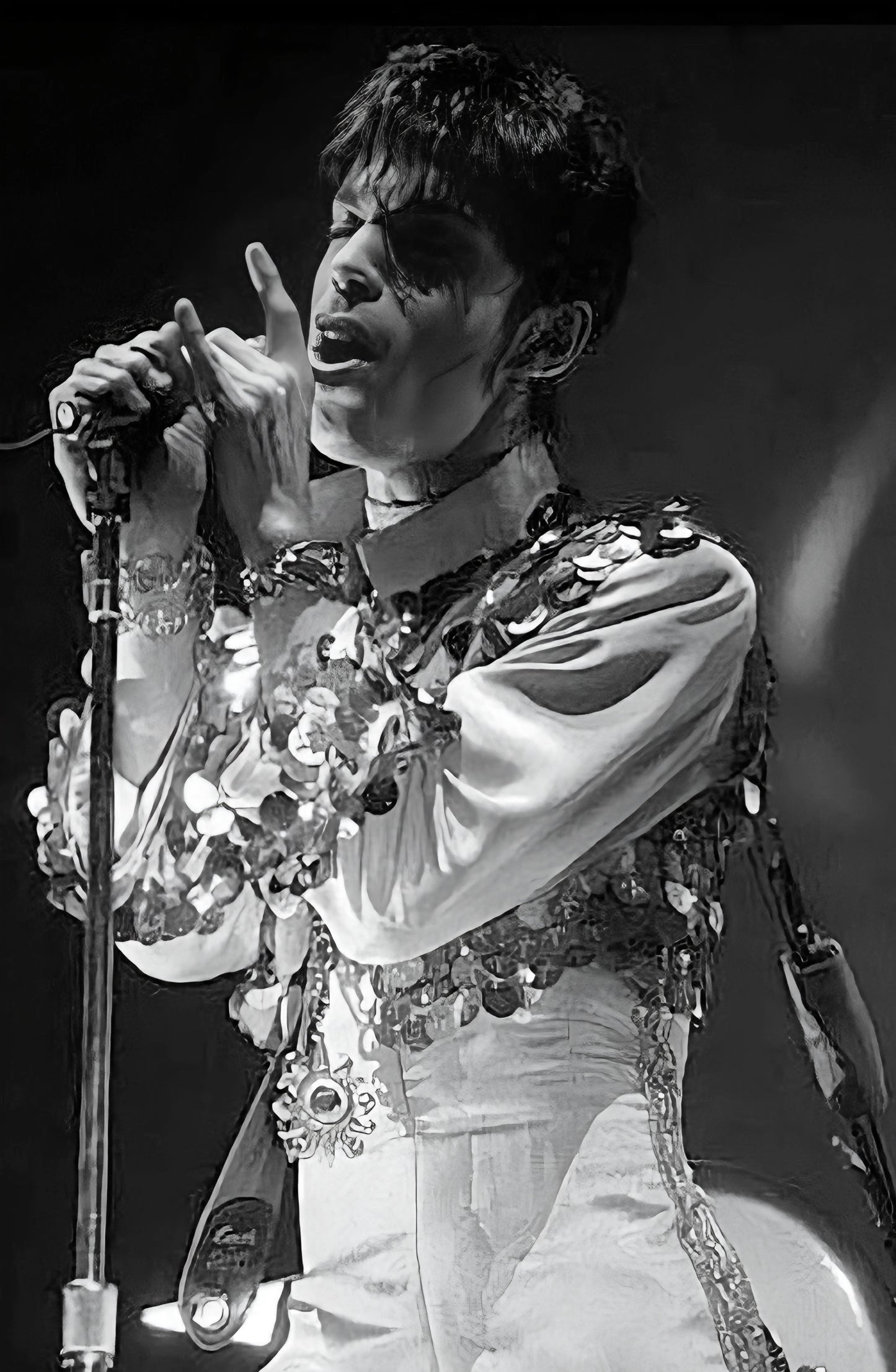Prince poster with multiple size and finish options B7