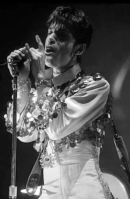 Prince poster with multiple size and finish options B7