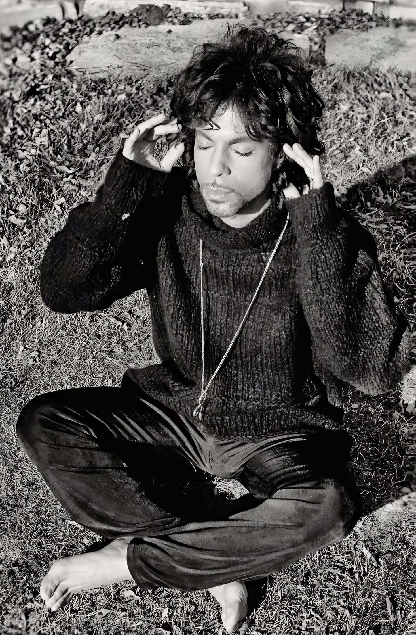 Prince poster with multiple size and finish options B4