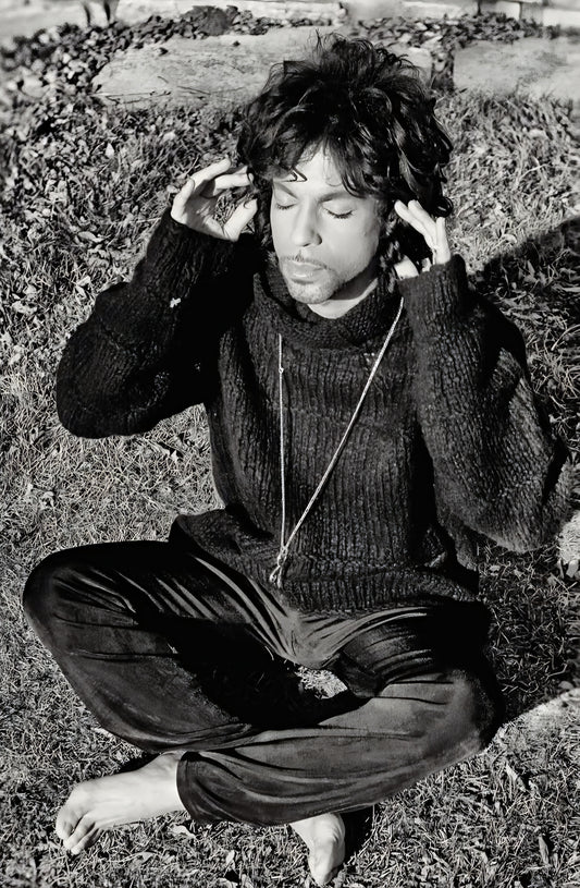 Prince poster with multiple size and finish options B4