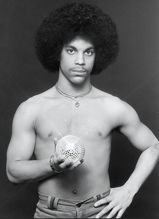 Prince poster with multiple size and finish options B2