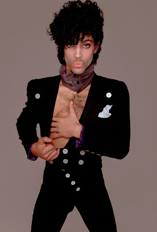 Prince poster with multiple size and finish options A10